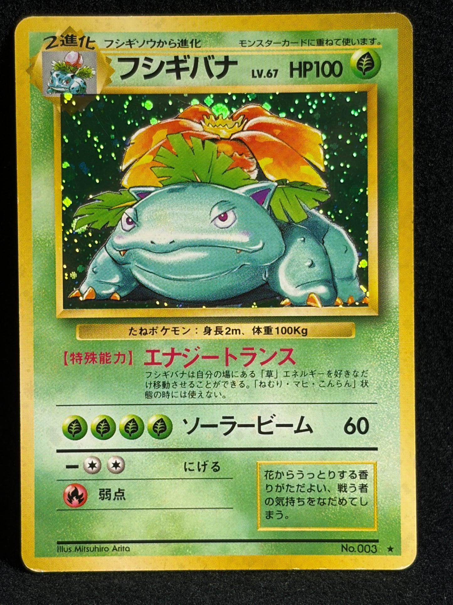 Venusaur No.003 Old Back - Japanese Pokemon Card