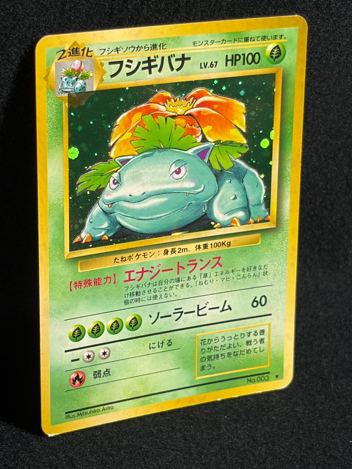 Venusaur No.003 Old Back - Japanese Pokemon Card