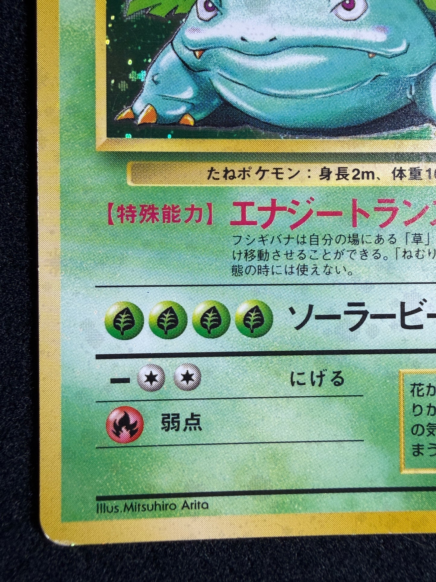 Venusaur No.003 Old Back - Japanese Pokemon Card