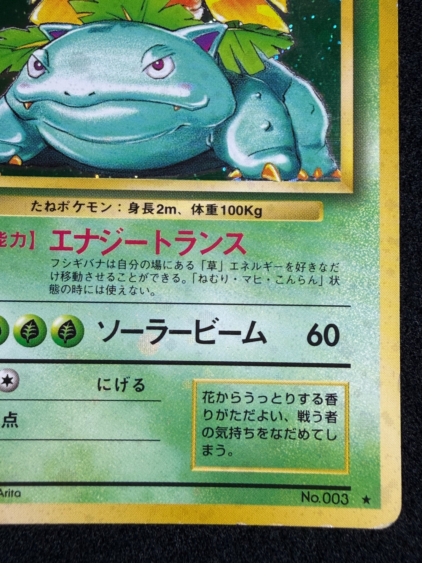 Venusaur No.003 Old Back - Japanese Pokemon Card