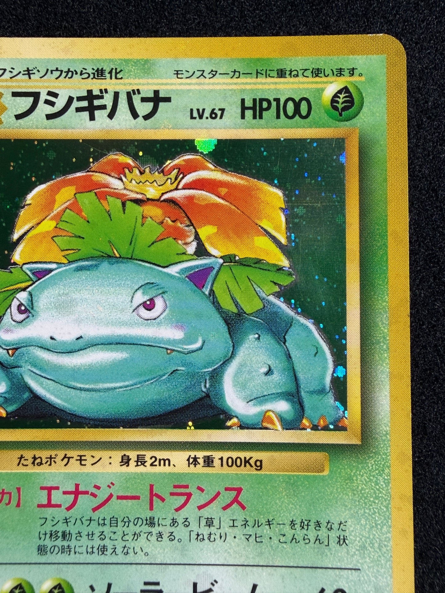 Venusaur No.003 Old Back - Japanese Pokemon Card