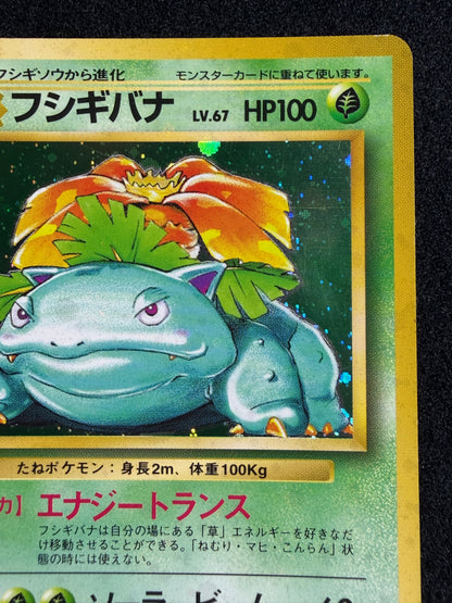 Venusaur No.003 Old Back - Japanese Pokemon Card