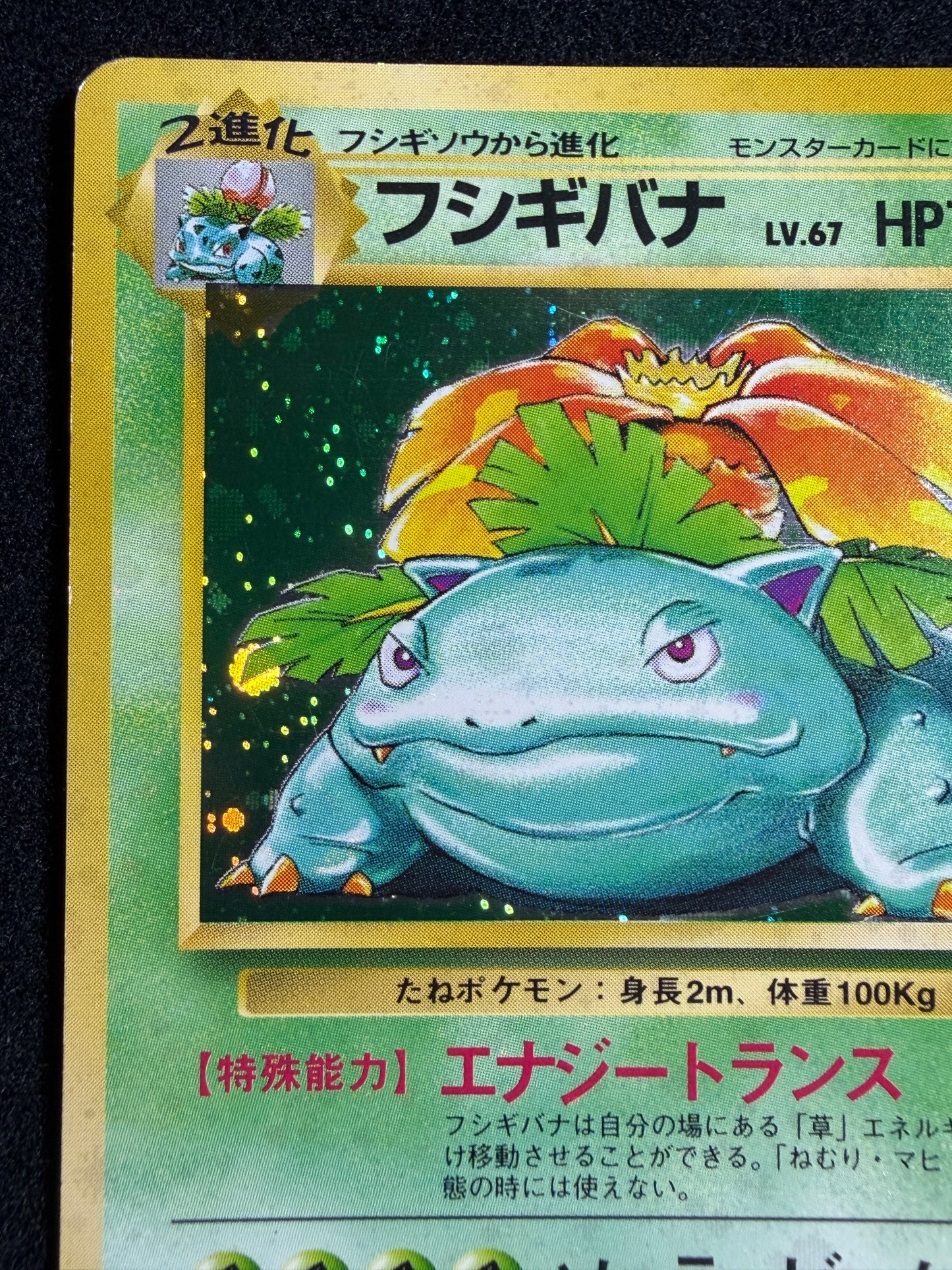 Venusaur No.003 Old Back - Japanese Pokemon Card