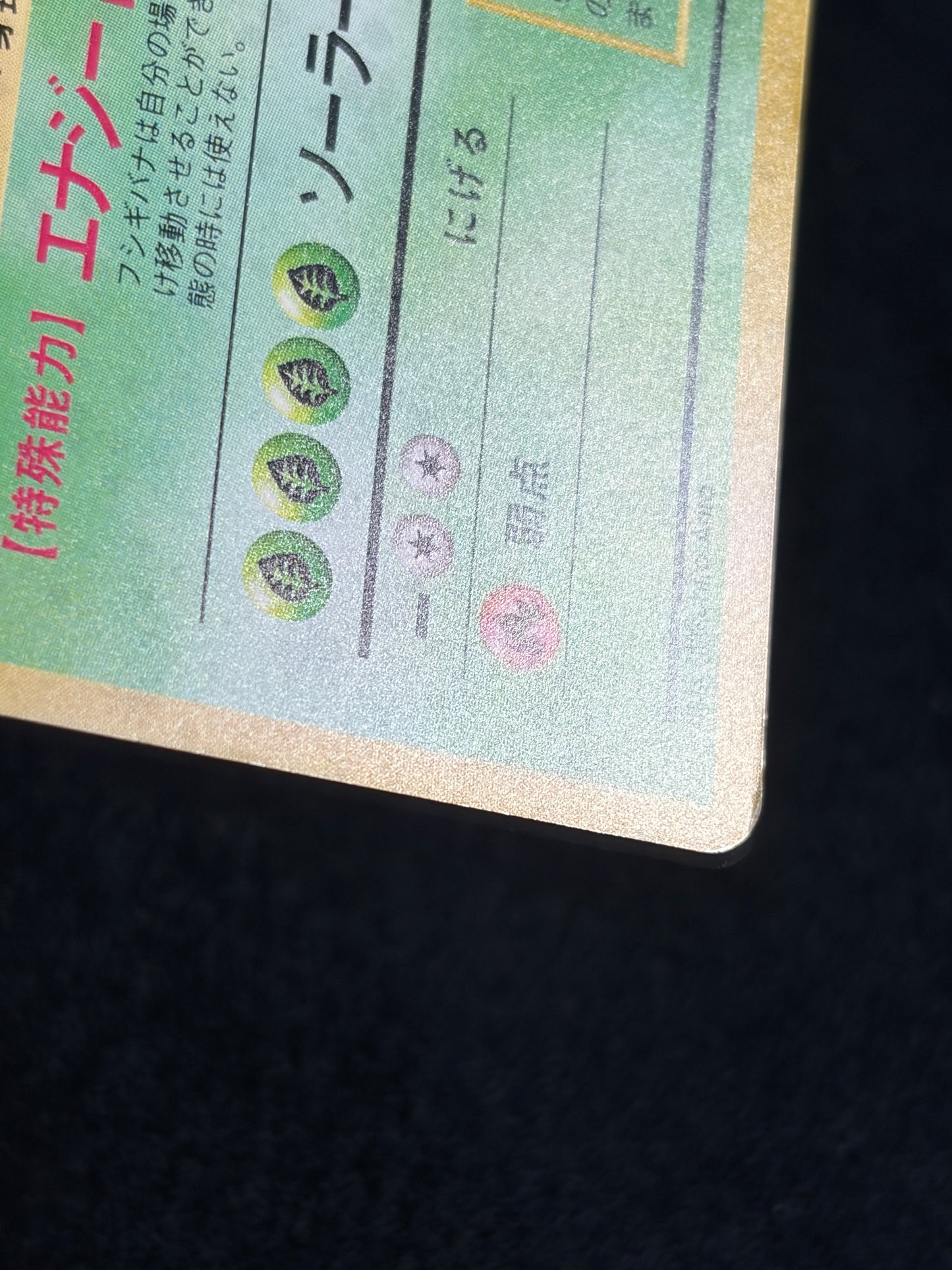 Venusaur No.003 Old Back - Japanese Pokemon Card