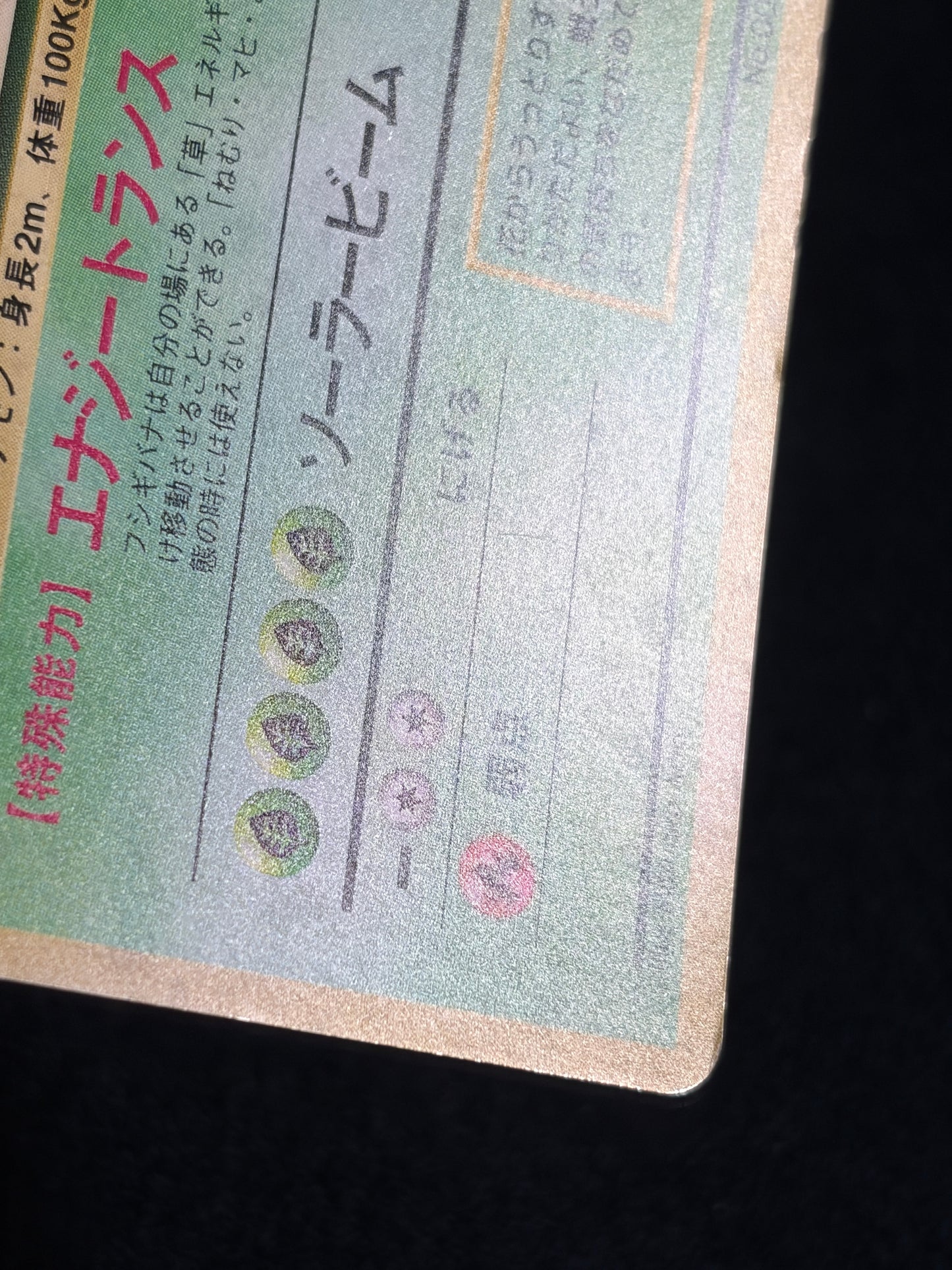 Venusaur No.003 Old Back - Japanese Pokemon Card