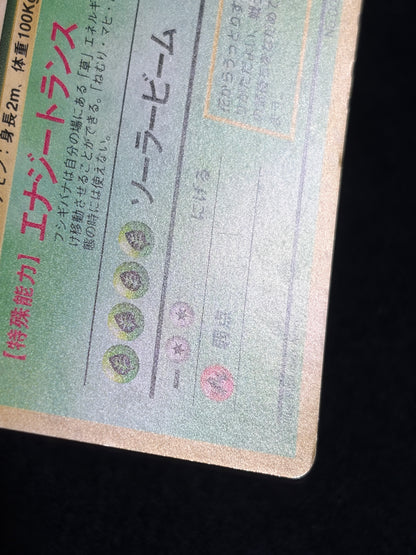 Venusaur No.003 Old Back - Japanese Pokemon Card