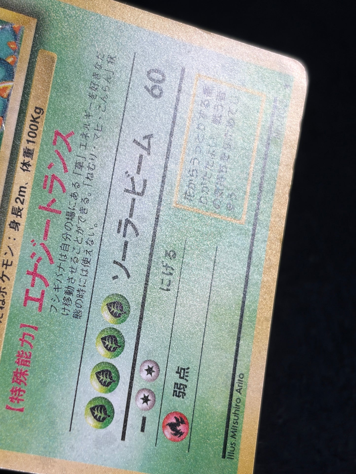 Venusaur No.003 Old Back - Japanese Pokemon Card
