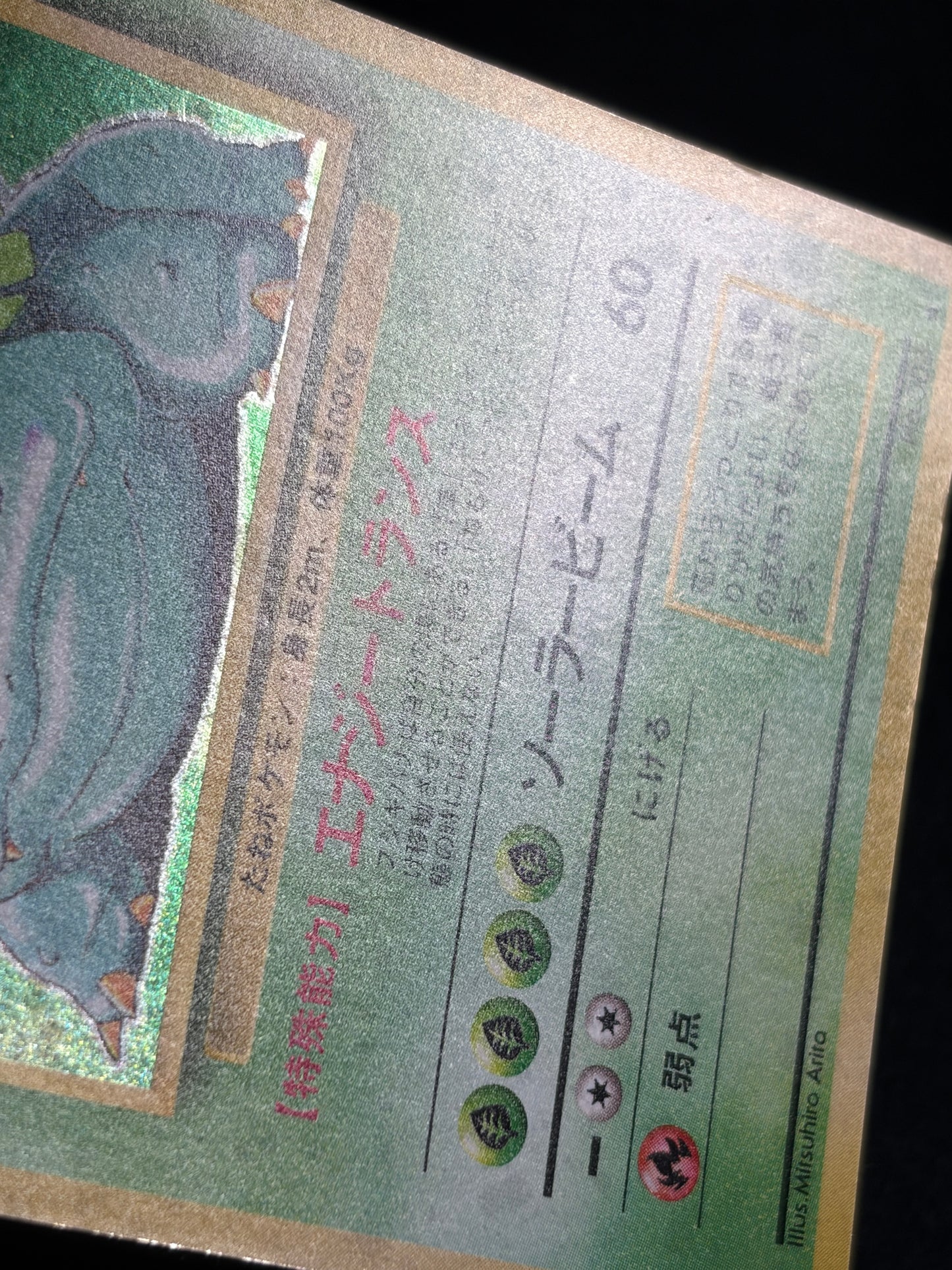 Venusaur No.003 Old Back - Japanese Pokemon Card