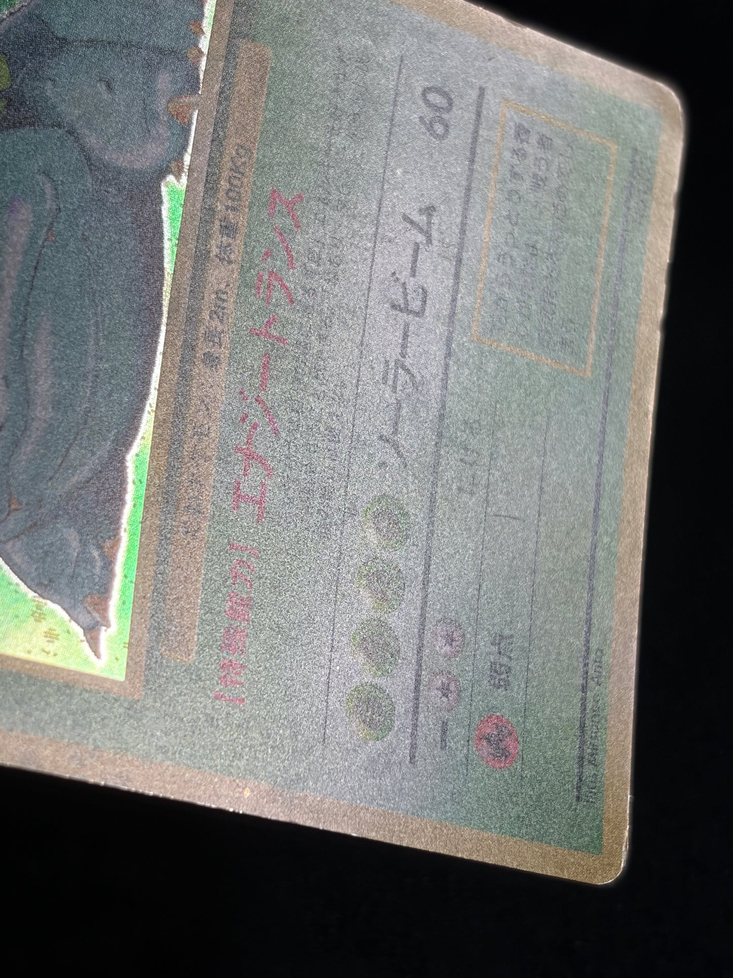 Venusaur No.003 Old Back - Japanese Pokemon Card