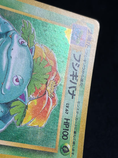 Venusaur No.003 Old Back - Japanese Pokemon Card