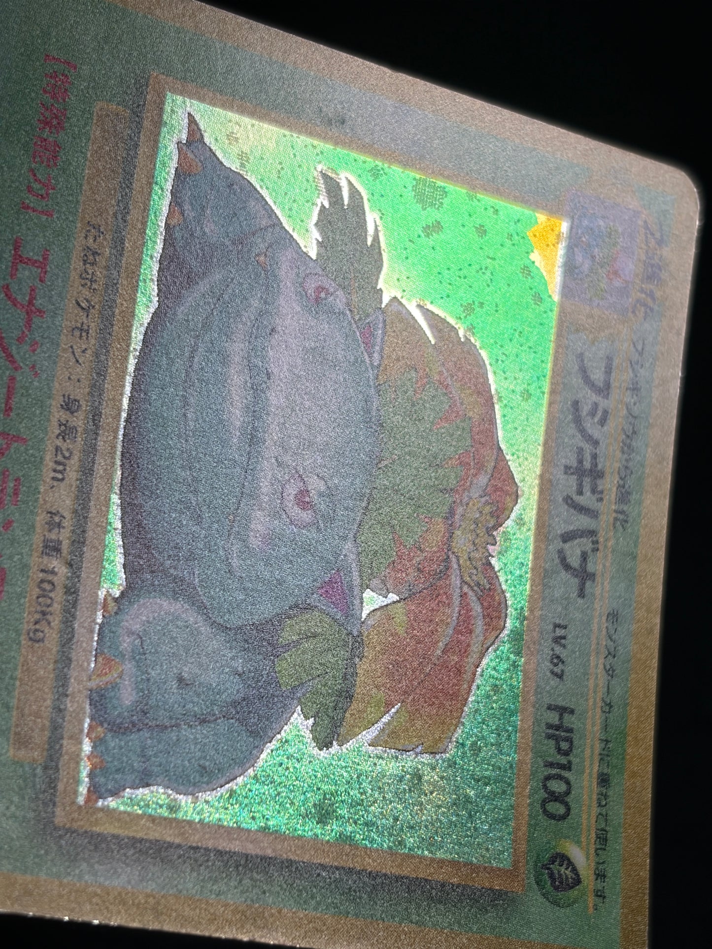 Venusaur No.003 Old Back - Japanese Pokemon Card
