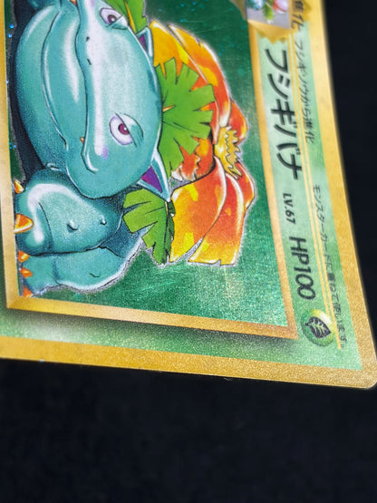 Venusaur No.003 Old Back - Japanese Pokemon Card