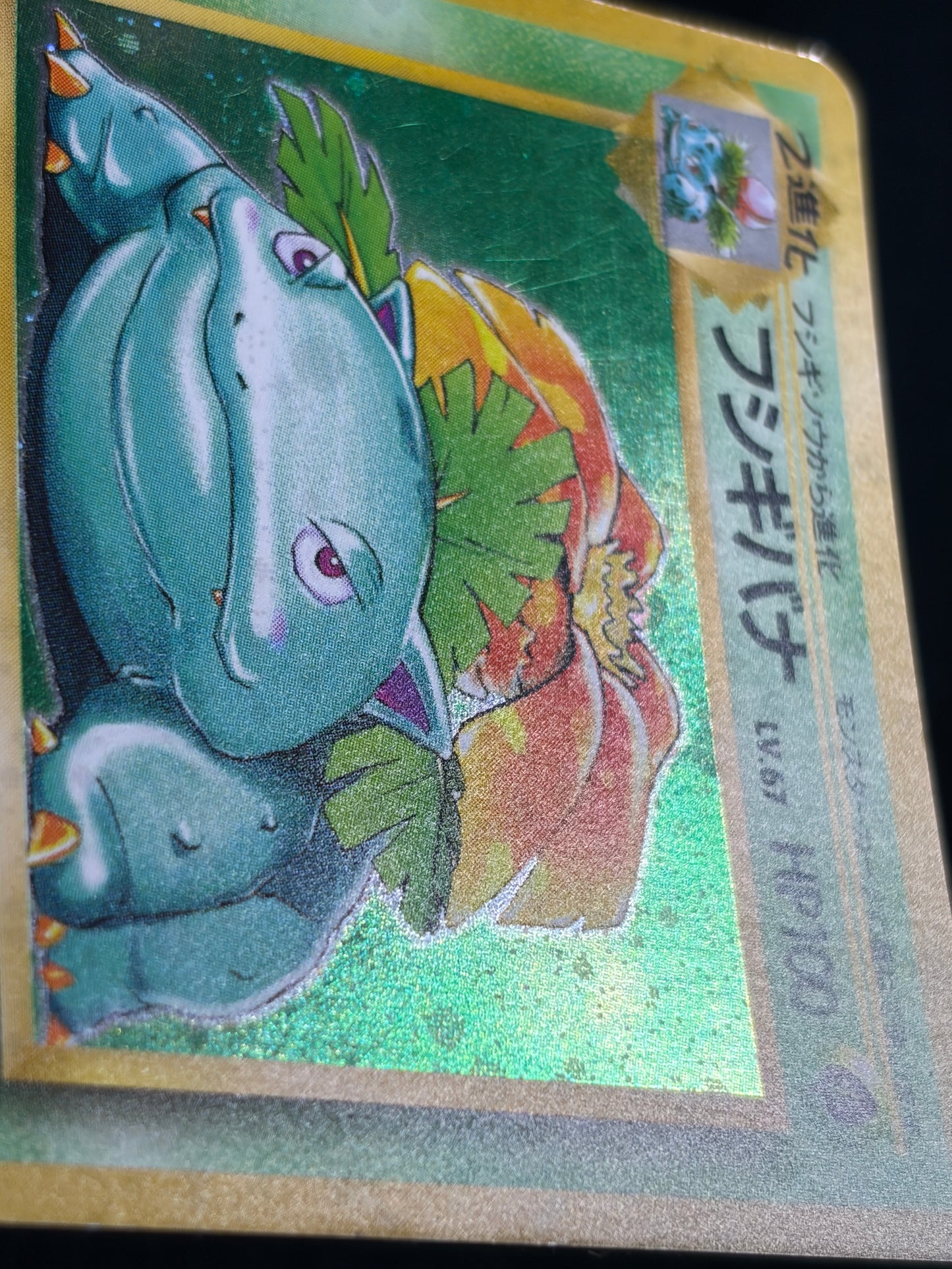 Venusaur No.003 Old Back - Japanese Pokemon Card