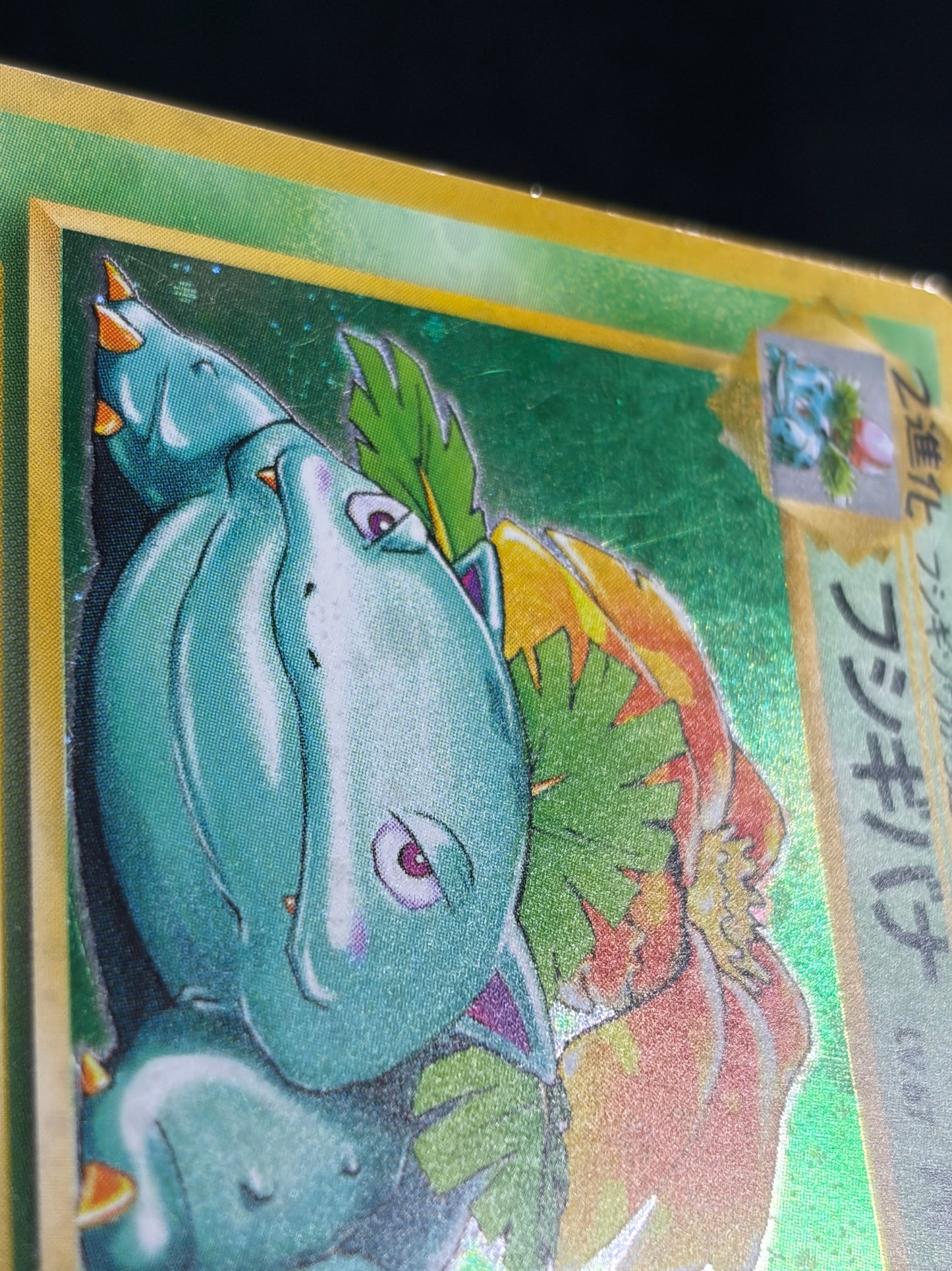 Venusaur No.003 Old Back - Japanese Pokemon Card