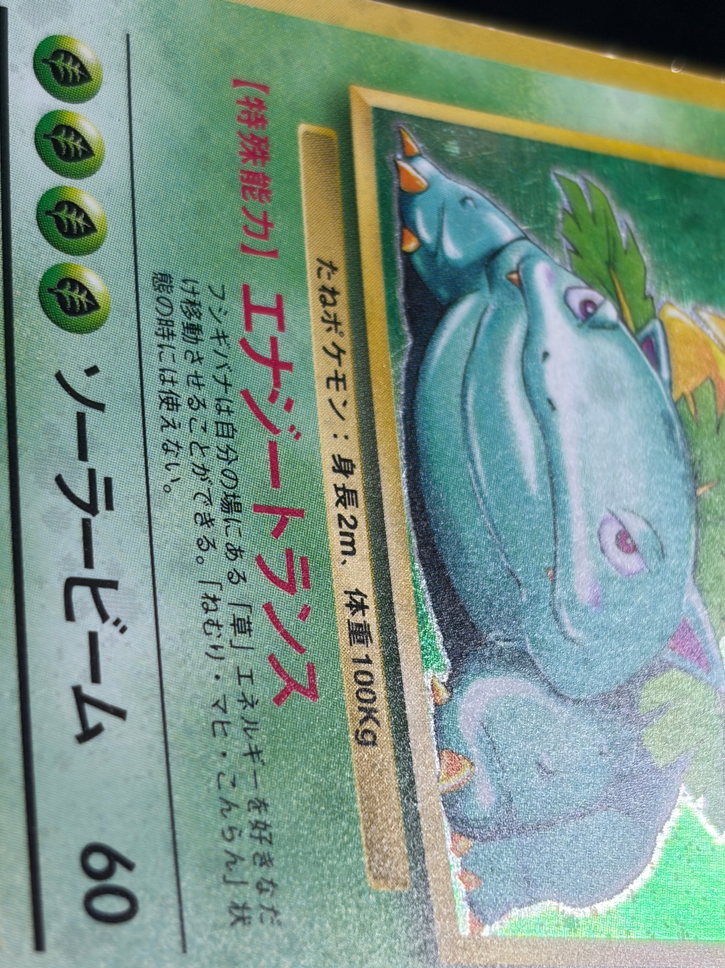 Venusaur No.003 Old Back - Japanese Pokemon Card
