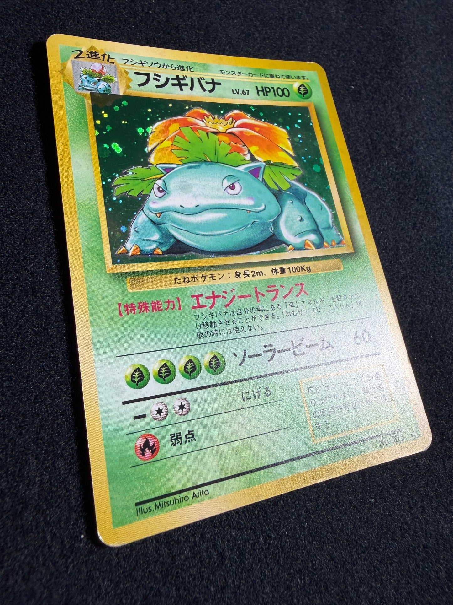 Venusaur No.003 Old Back - Japanese Pokemon Card
