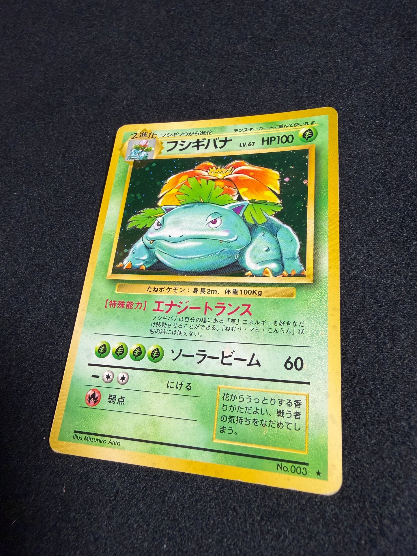 Venusaur No.003 Old Back - Japanese Pokemon Card
