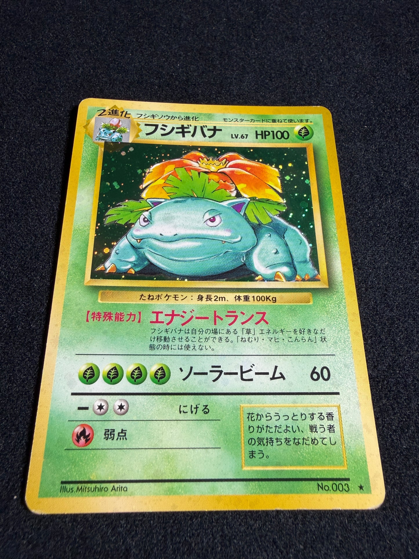 Venusaur No.003 Old Back - Japanese Pokemon Card