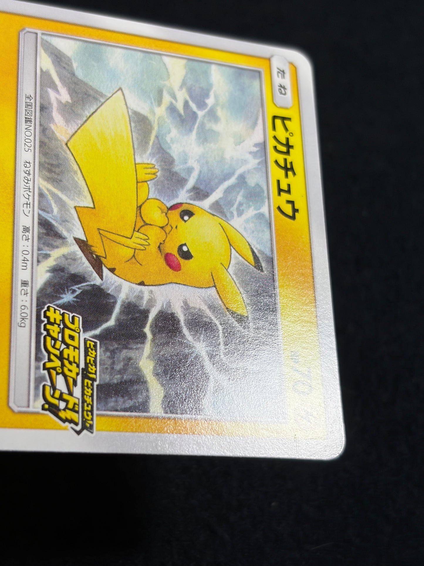 Pikachu 126/S-P Promo 2020 Pika Pika Champain - Japanese Pokemon Card TCG