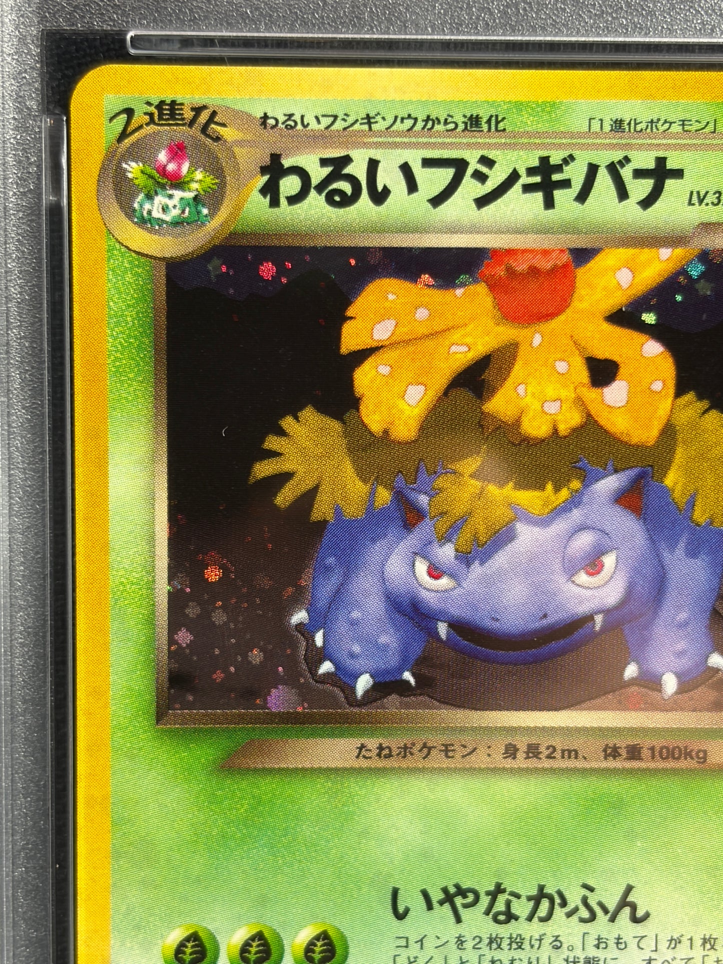 Dark Venusaur No.003 Promo 2001 PSA 8  - Japanese Pokemon Card TCG